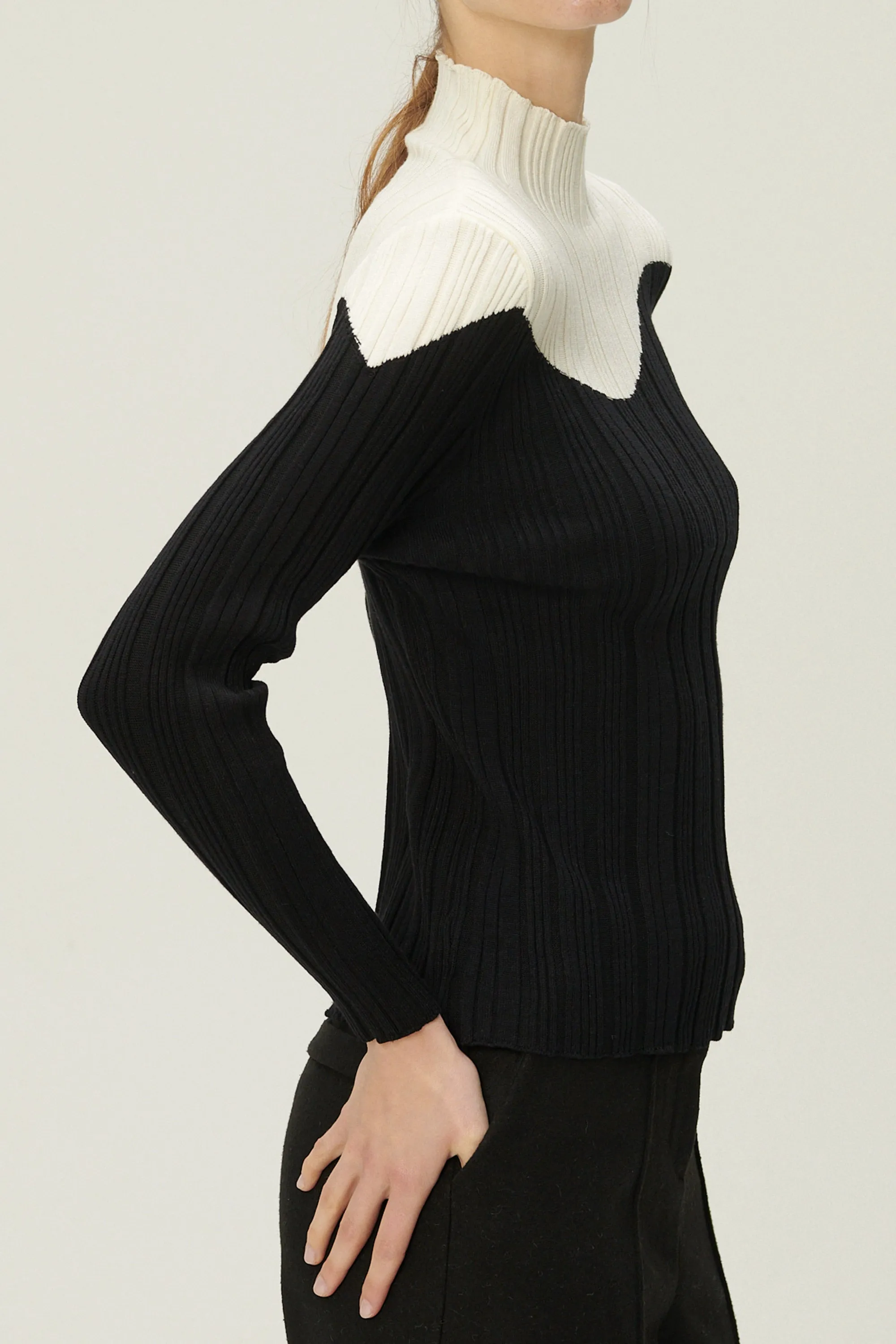 Eva Color Block Ribbed Knit Top